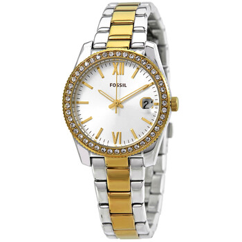 Đồng hồ Fossil Scarlette Mini Quartz Crystal Mặt Bạc ES4319 Nữ Chính hãng Sale giá Rẻ tại XaXi World