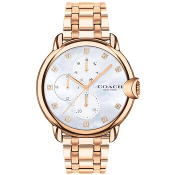 Đồng hồ nữ Coach Quartz Crystal 14503682 chính hãng