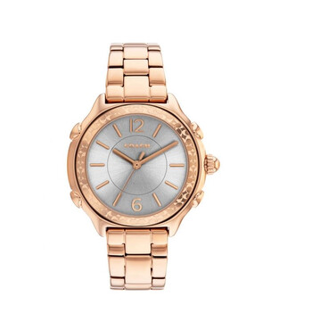 Đồng hồ nữ Coach Suzie Quartz mặt bạc 14503963 chính hãng
