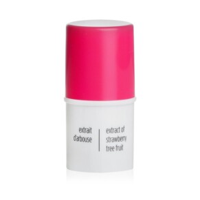 Bút che khuyết điểm kiềm dầu My Clarins Pore Less Blur Matte Stick 3 2g giá rẻ
