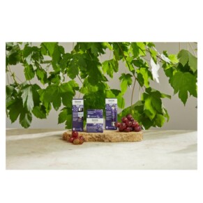 Kem Dưỡng Da Ban Đêm Lavera Re Energizing 50ml giá rẻ