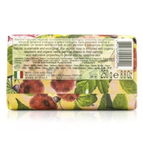 Nesti Dante Bio Natura Sustainable Vegetal Soap Wild Raspberry Nettle 250g