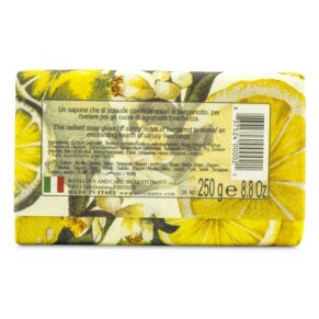 Nesti Dante Il Frutteto Energizing Soap Citron Bergamot 250g