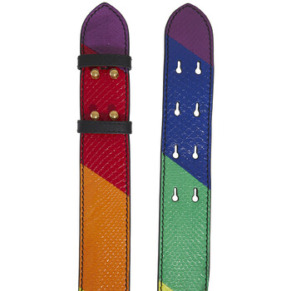 Burberry Ladies Rainbow Leather Belt Bag Strap